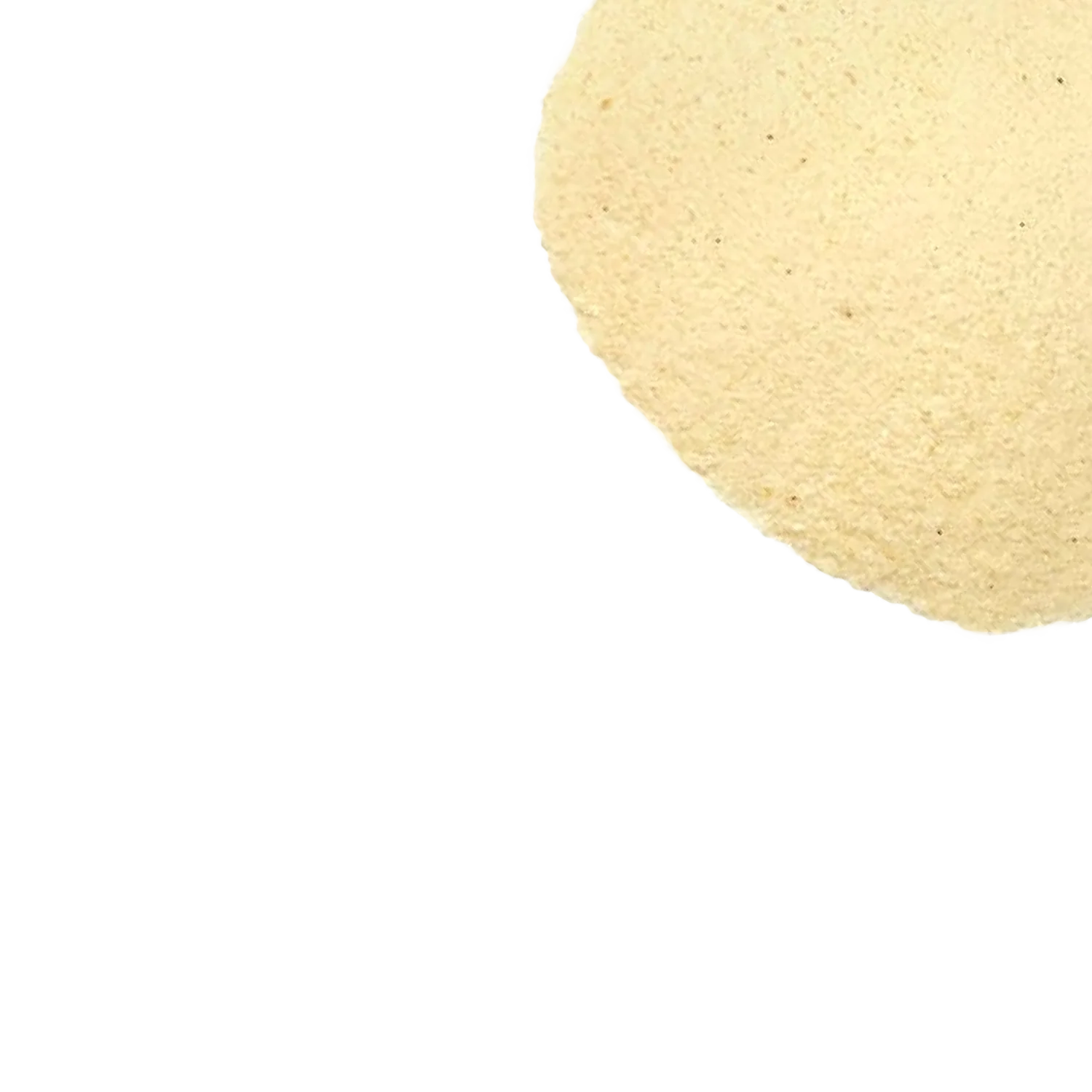 Coconut Water Powder