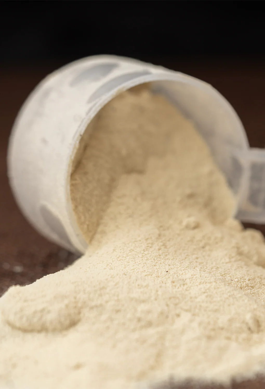 Heavy Whey (1lb.) - Image 4