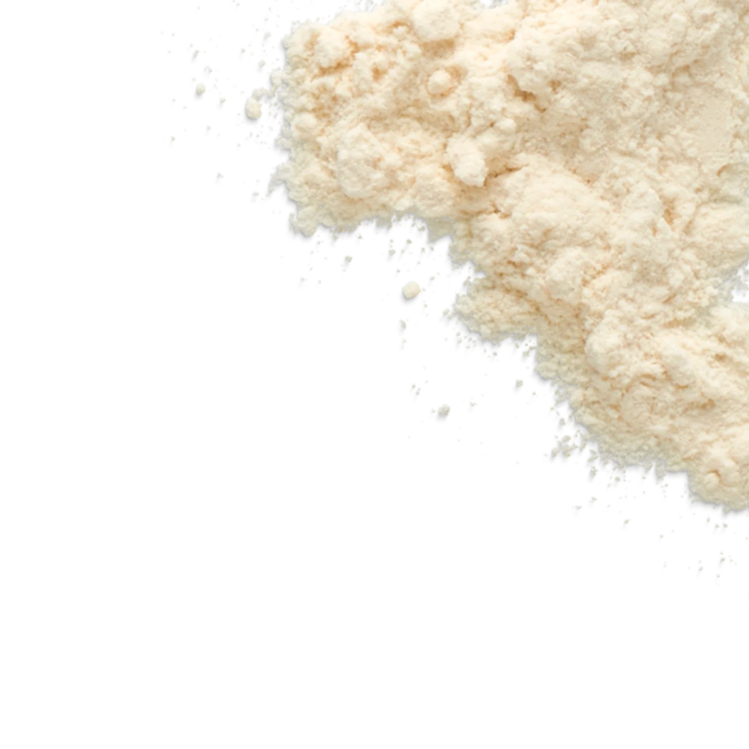 Micellar Casein (1lb.) - Image 2