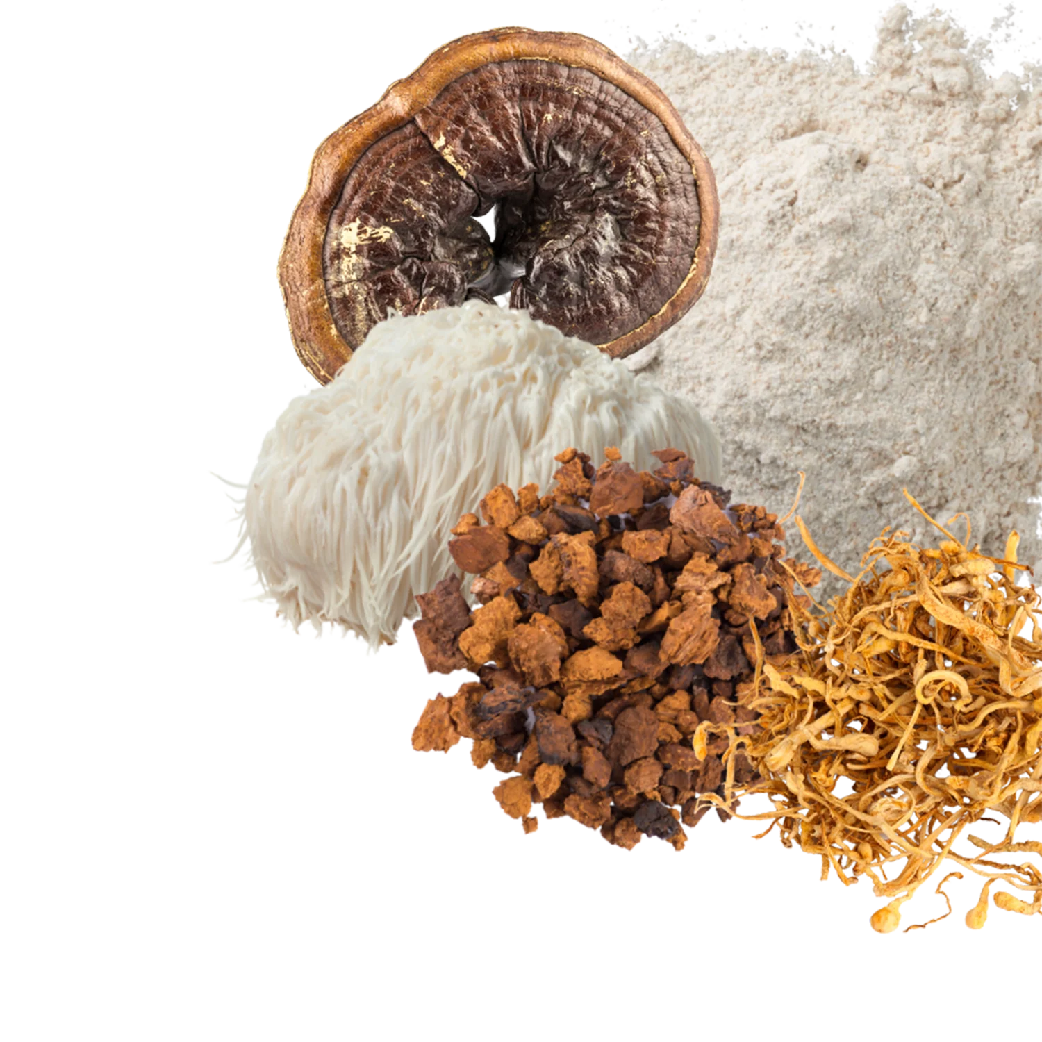 Mushroom Blend Boost - Image 2